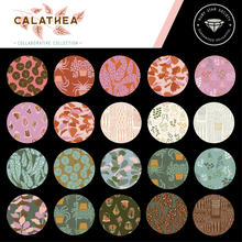Load image into Gallery viewer, Calathea - Jelly Roll
