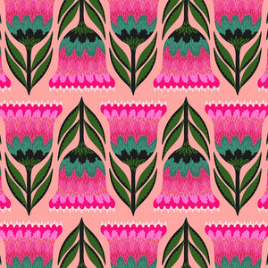 Jumpstart - Celosia - Punch - 50cm