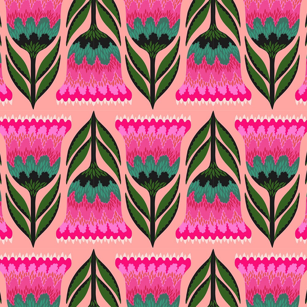 Jumpstart - Celosia - Punch - 50cm