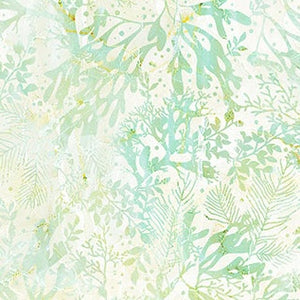 Vitamin Sea - Coral - Pale Green - 50cm