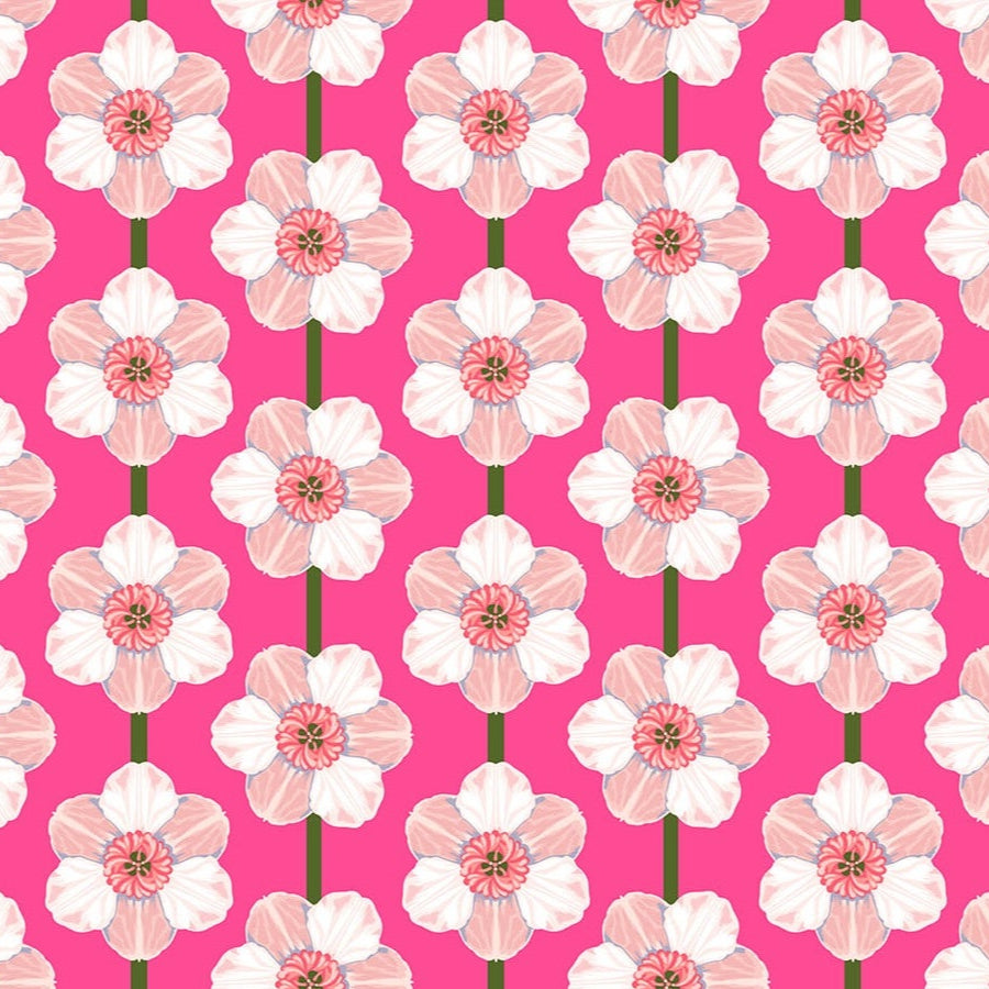 Pattern of pink and white flowers on a pink background