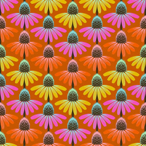 Perennial Borders - Echinacea Rhythm - Fire - 50cm