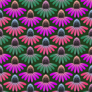 Perennial Borders - Echinacea Rhythm - Forest- 50cm