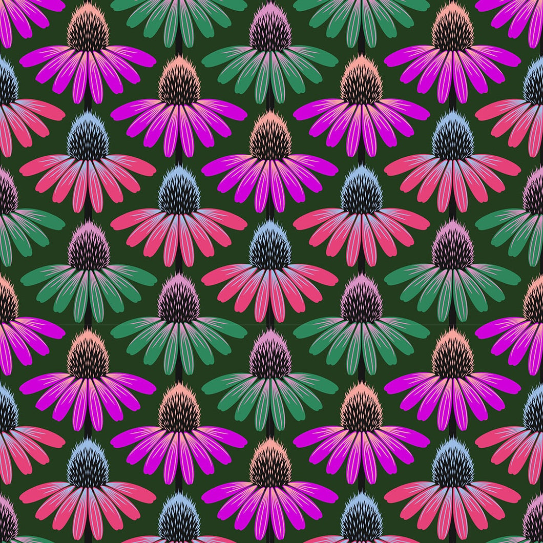 Perennial Borders - Echinacea Rhythm - Forest- 50cm