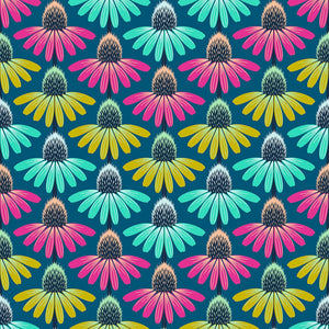 Perennial Borders - Echinacea Rhythm - Parade - 50cm