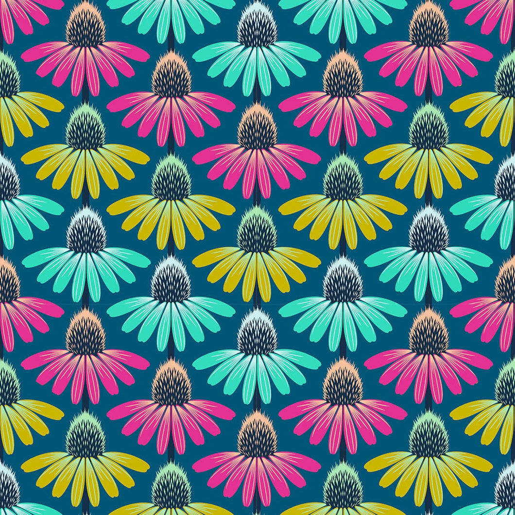 Perennial Borders - Echinacea Rhythm - Parade - 50cm