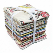 Load image into Gallery viewer, Peasholme Green - Fat Quarter Bundle

