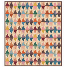 Load image into Gallery viewer, Geometry Quilt - Kit
