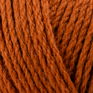 Easy Care - Ginger Snap - 12ply