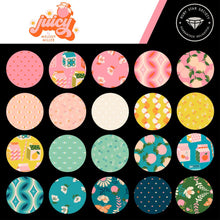 Load image into Gallery viewer, Juicy - Fat Quarter Bundle
