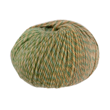 Load image into Gallery viewer, Merino Magic - Medley - Ramble - 7093 - 8ply
