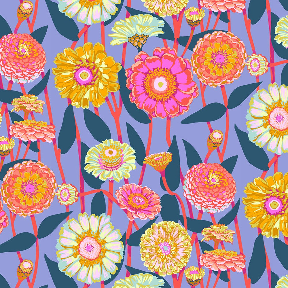 Jumpstart - Zinnia Show - Glow - 50cm