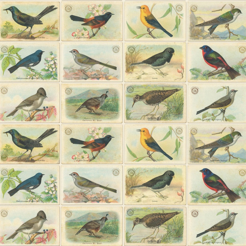 Outdoorsy - Bird Cards - Natural - 50cm