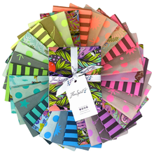 Load image into Gallery viewer, Everglow and Neon True Colors Fat Quarter Bundle
