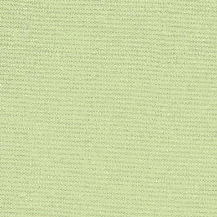 Devonstone Collection - Solids - Lime and Tonic - DV085 - 50cm