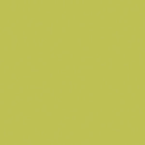 Solid Basics - Lime Green - 50cm