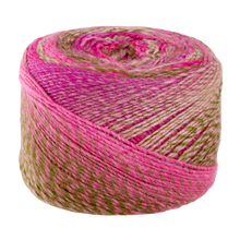 Load image into Gallery viewer, Crypto - Rose Garden - 8ply
