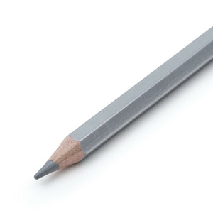 Marking Pencil Silver