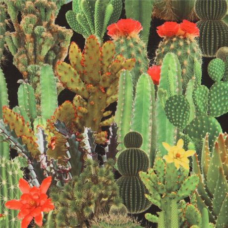 Cactus Print - 50cm