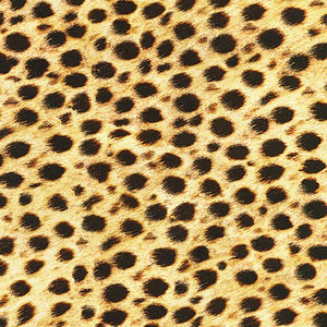 Animal Kingdom - Wild - Leopard - 50cm